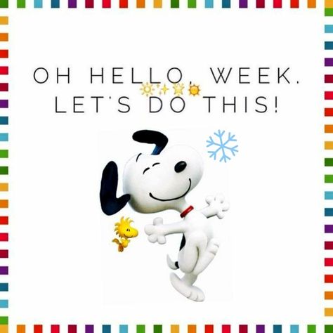 200 Snoopy Mondays ideas  snoopy snoopy quotes snoopy love