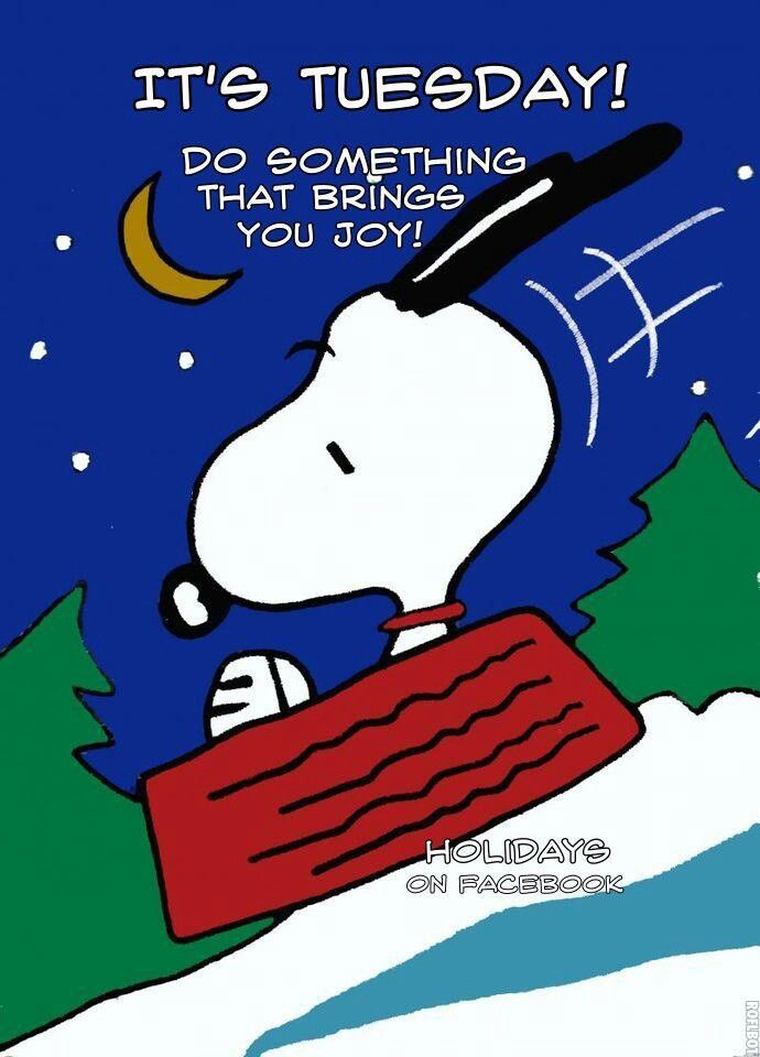 Tuesday  Snoopy Snoopy love Snoopy pictures