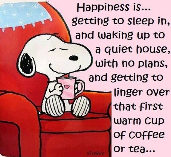 Pin by Karin Rorig Beaupre on Charlie Brown Snoopy  Woodstock  Snoopy  quotes Snoopy funny Snoopy pictures
