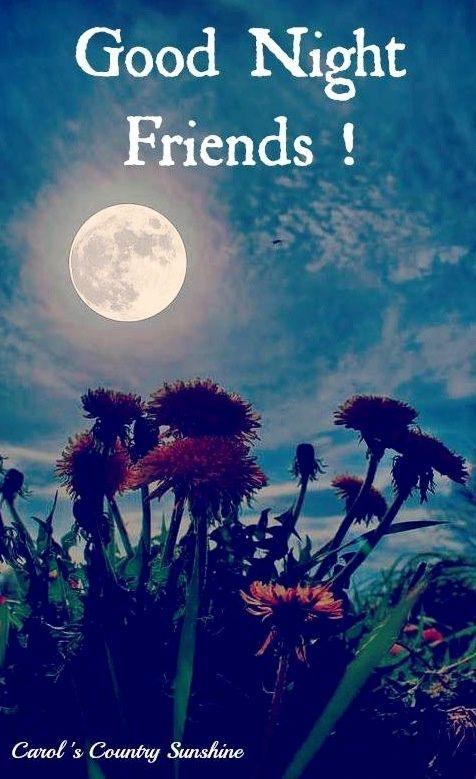 Image result for Good night friends images