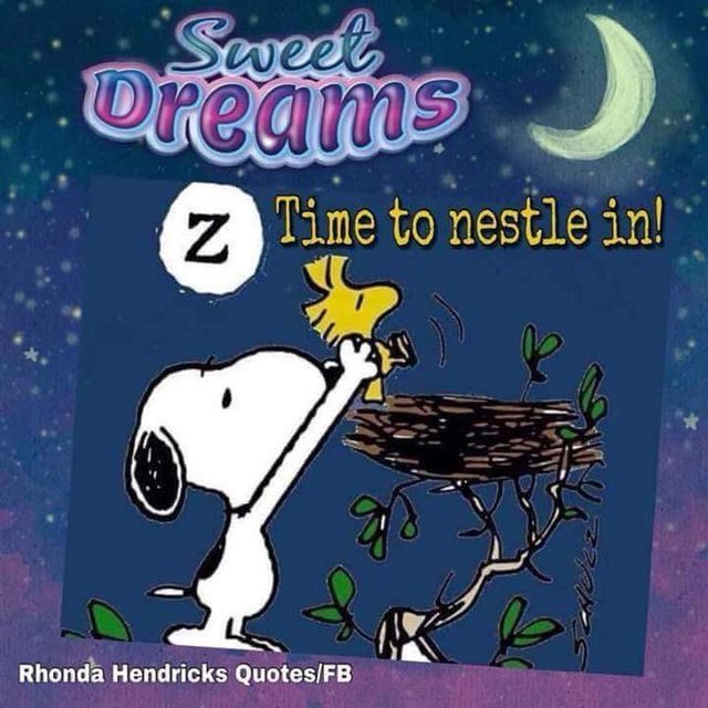 Sweet dtrams  Snoopy drawing Peanuts charlie brown snoopy Snoopy funny