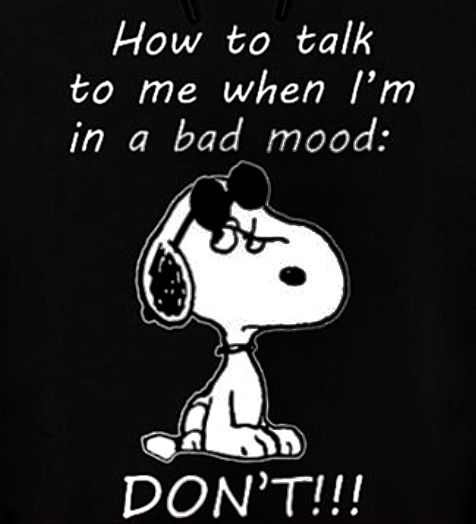 How to talk to me when Im in a bad mood DONT  Fun quotes funny Funny  quotes Snoopy funny