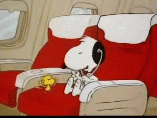 Snoopy And GIF - Snoopy And Woodstock - Discover  Share GIFs