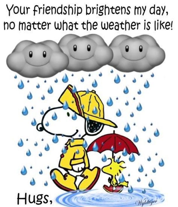 10 Sweet Quotes On Friendship To Share With Someone Special  Snoopy Snoopy  funny Snoopy love