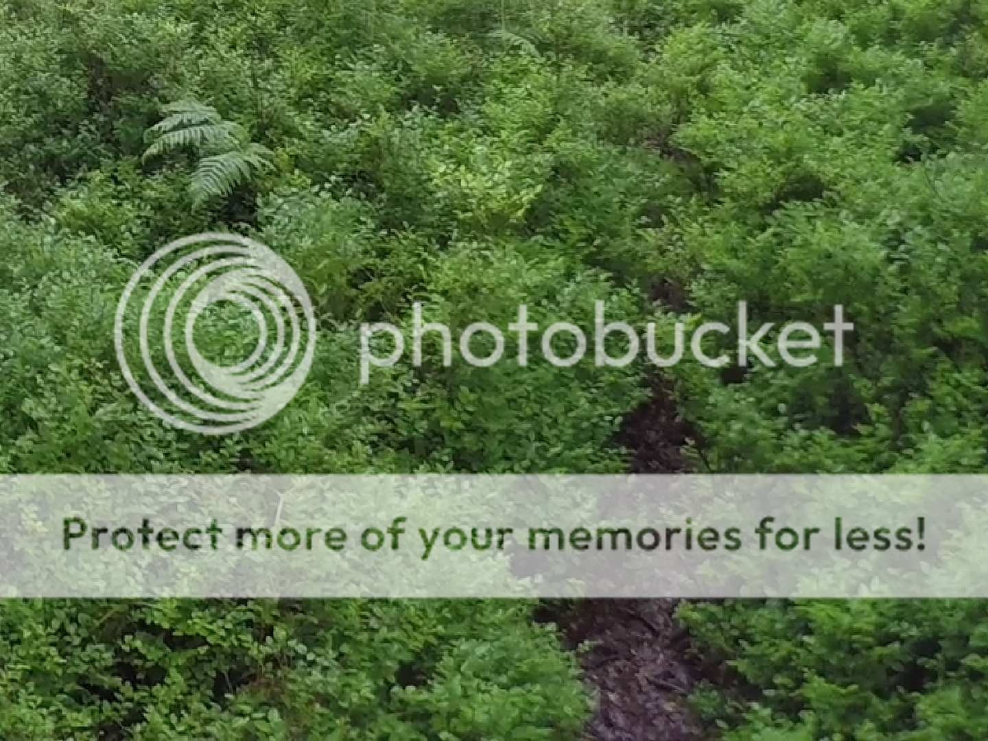 http://i1366.photobucket.com/albums/r763/BobRake/e_zps4czmzas5.png