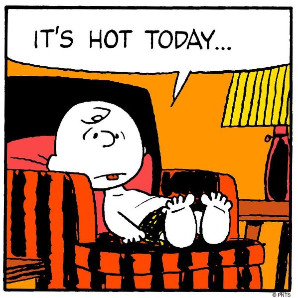 Pin on Charlie Brown