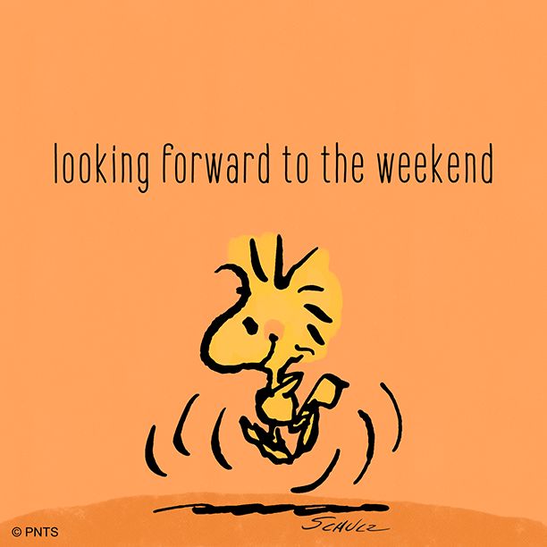 PEANUTS on Twitter  Snoopy images Good morning snoopy Snoopy pictures