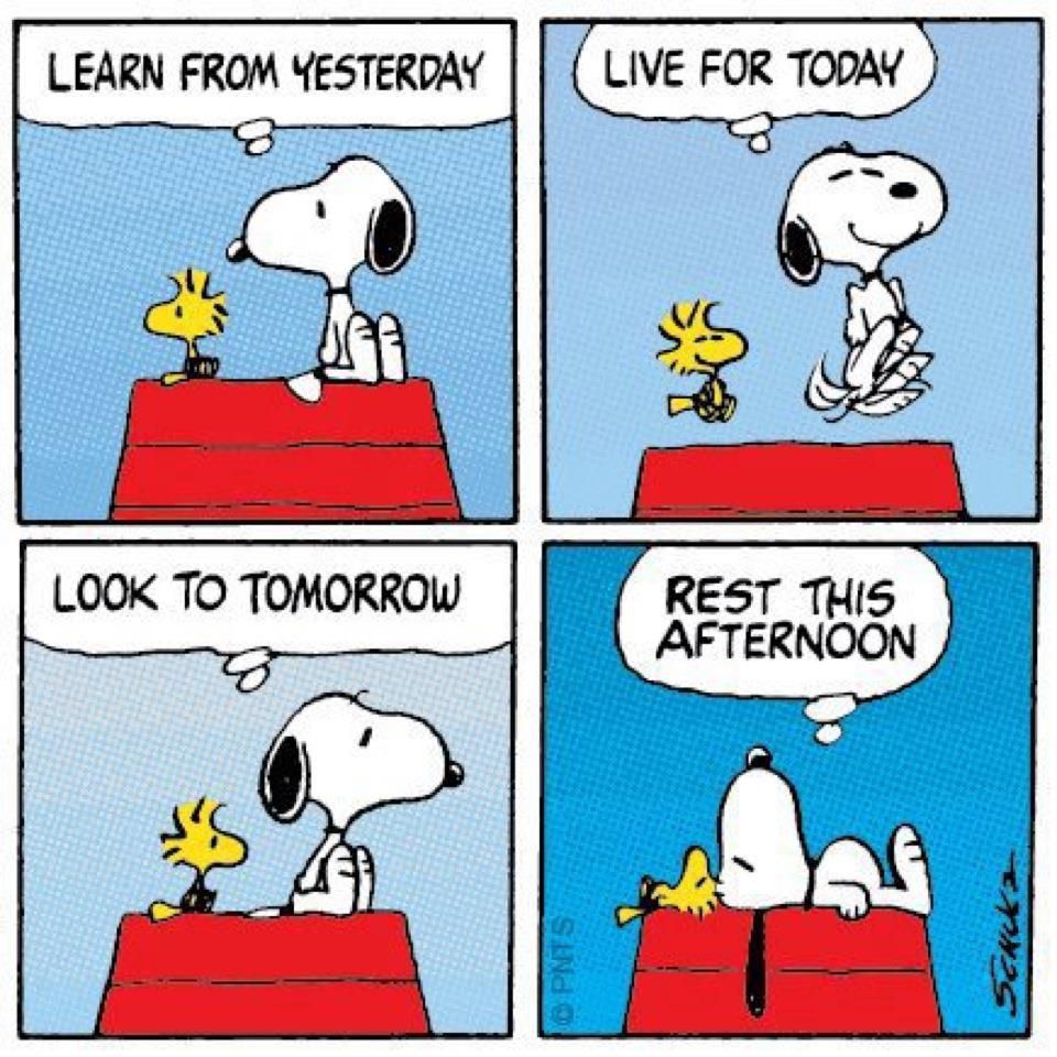 Learn from yesterday live for today look to tomorrow rest this