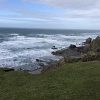 Carollporter61