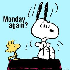 130 Monday ideas  snoopy love charlie brown and snoopy peanuts gang