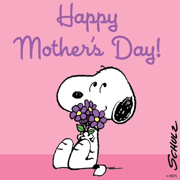 PEANUTS on Twitter  Snoopy Happy mother day quotes Snoopy quotes