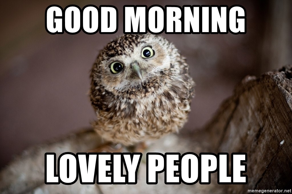 Good morning lovely people - cute owls  Meme Generator