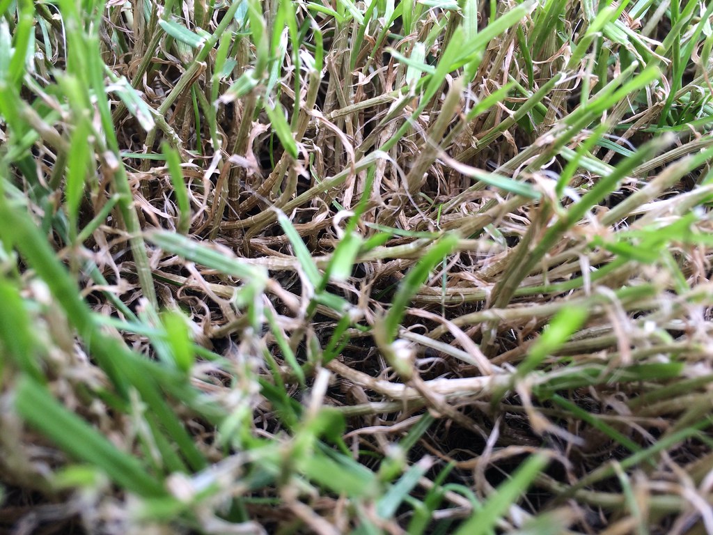 https://farm4.staticflickr.com/3835/14327391527_6a3f6fe460_b.jpg