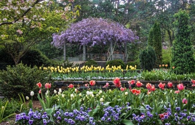 Beautiful Blossoming Spring Gardens  Spring garden Garden inspiration  Beautiful gardens