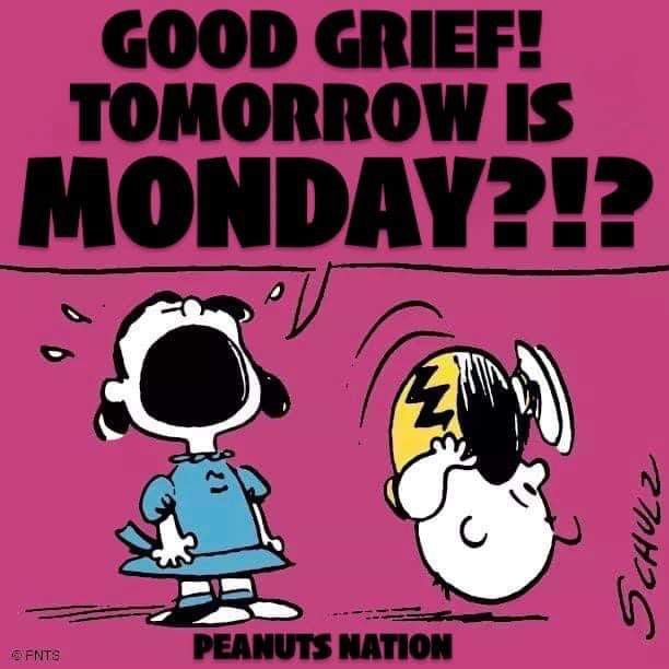 Pin by Darla Mezei on Snoopy  The Peanuts Gang  Charlie brown and snoopy  Tomorrow is monday Peanuts gang