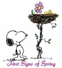 First flower of spring  Snoopy and woodstock Snoopy easter Snoopy love