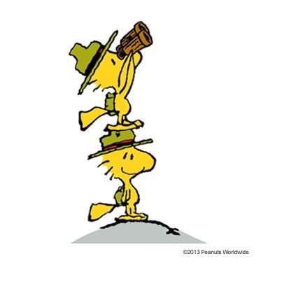 Snoopy  WoodstockBird watching  Snoopy and woodstock Peanuts snoopy  woodstock Snoopy funny