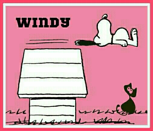 We get Winds Alright  Snoopy love Snoopy funny Snoopy quotes