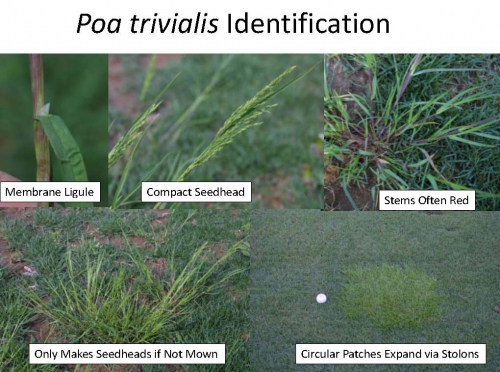 Related image