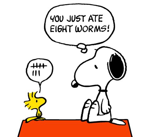 Snoopy and Woodstock - The Early Bird Catches The Worm  Snoopy funny  Snoopy images Snoopy and woodstock