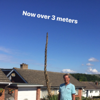 tonypeters3001