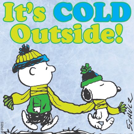 PEANUTS on Twitter  Snoopy christmas Snoopy funny Snoopy
