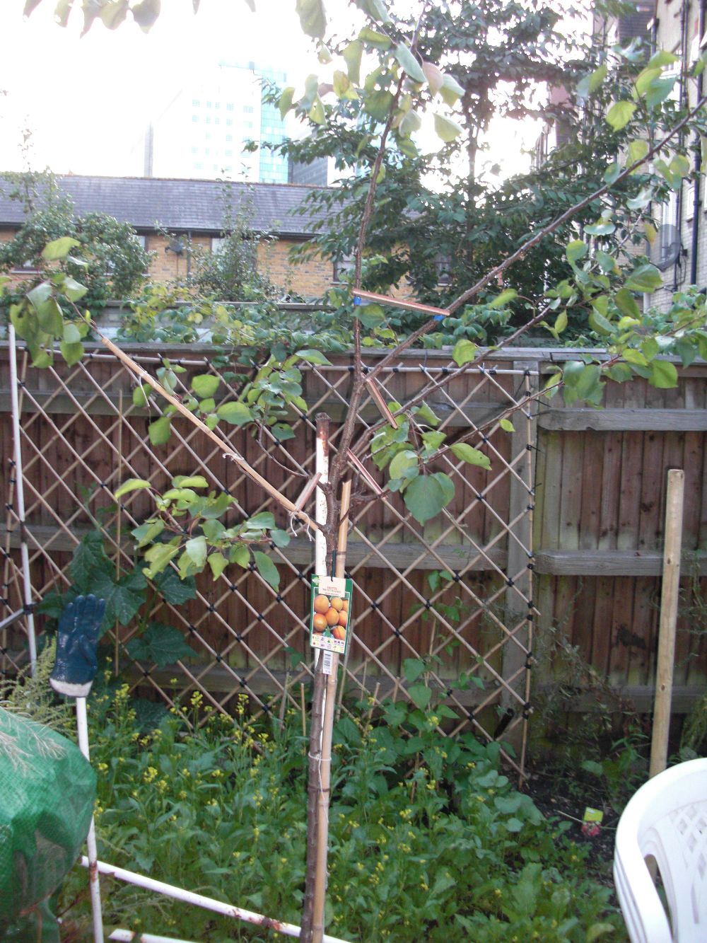 http://i.imgur.com/zQcNLgL.jpg
