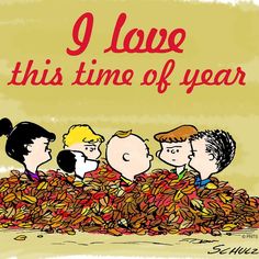 78 Fall ideas  charlie brown and snoopy peanuts gang charlie brown  peanuts