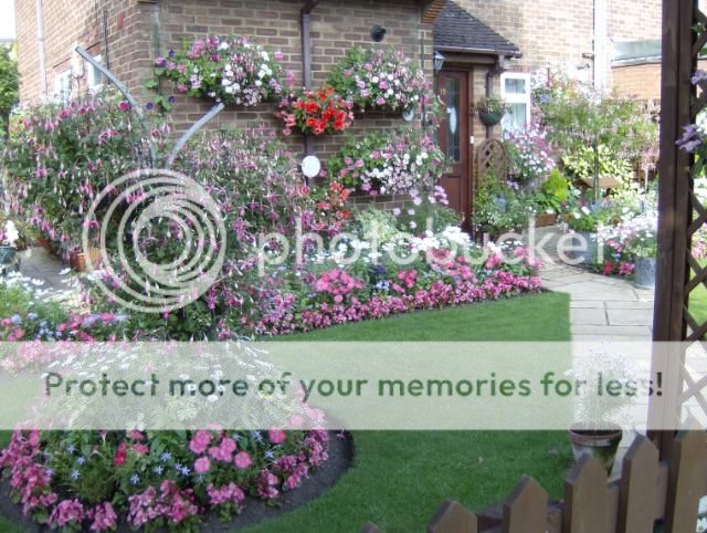 http://i1131.photobucket.com/albums/m551/lilylouise1/garden040-2.jpg