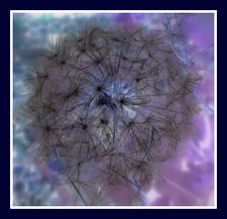 flora_etc