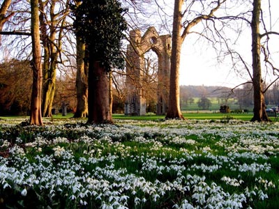 http://www.walsinghamvillage.org/wp-content/uploads/2011/02/walsingham_snowdrops1.jpg