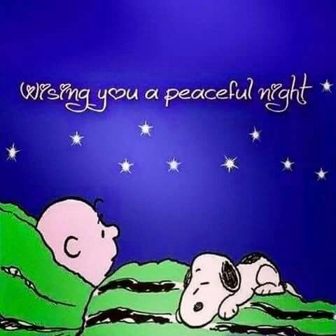 Sleep wellMay God bless your evening   Goodnight snoopy Snoopy  images Snoopy pictures