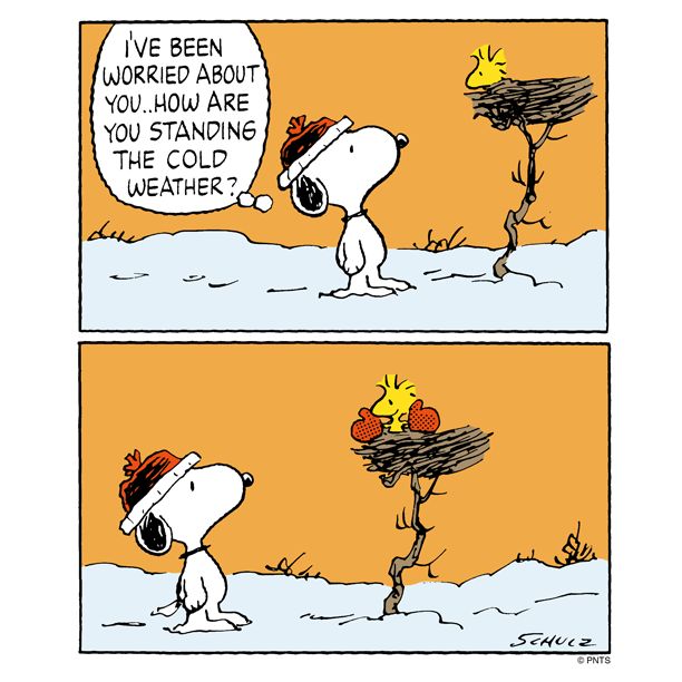 Cold Weather  Snoopy cartoon Snoopy love Snoopy pictures