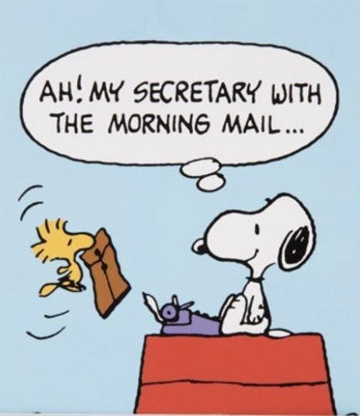Pin by Monita Molina on Snoopy  Snoopy quotes Snoopy pictures Snoopy  funny
