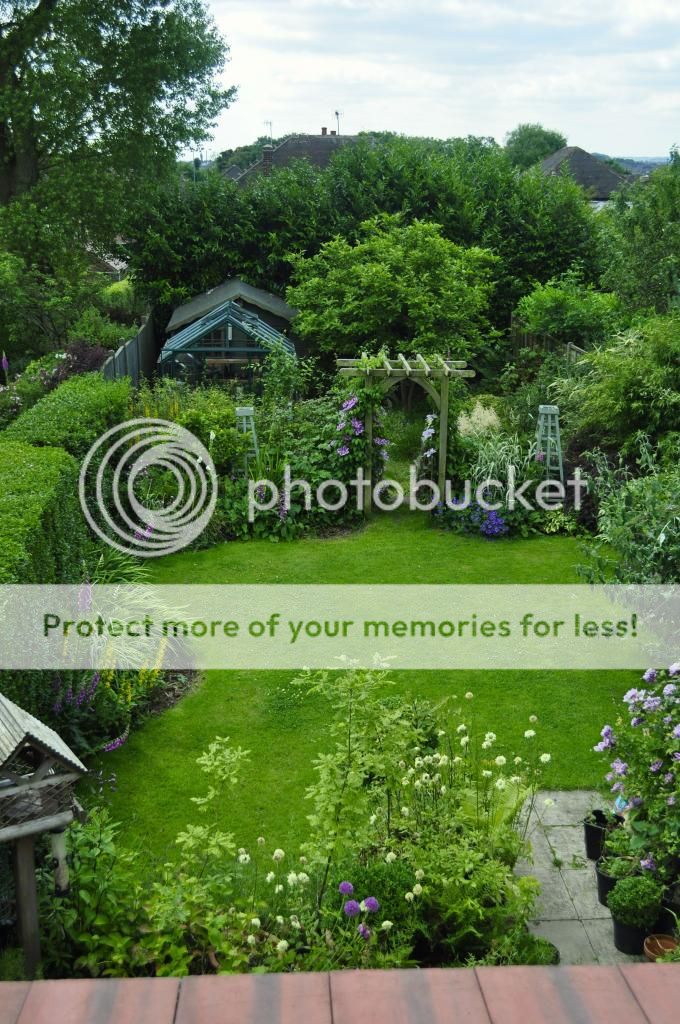 http://i232.photobucket.com/albums/ee192/thebear843/Garden/1_zpsee49e10d.jpg