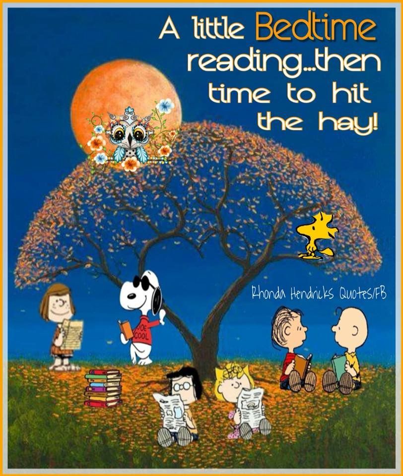 Good night  Goodnight snoopy Snoopy Snoopy love