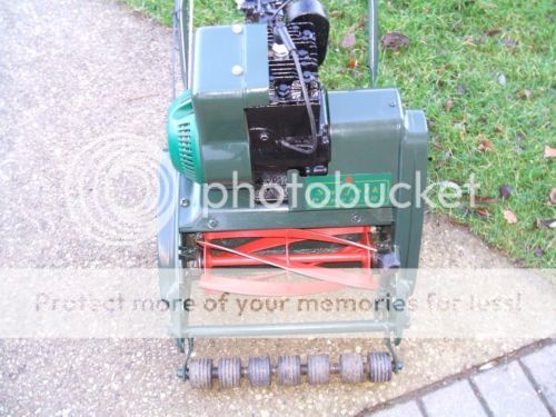 http://i232.photobucket.com/albums/ee192/thebear843/Garden/_12-2_zps9d04990a.jpg
