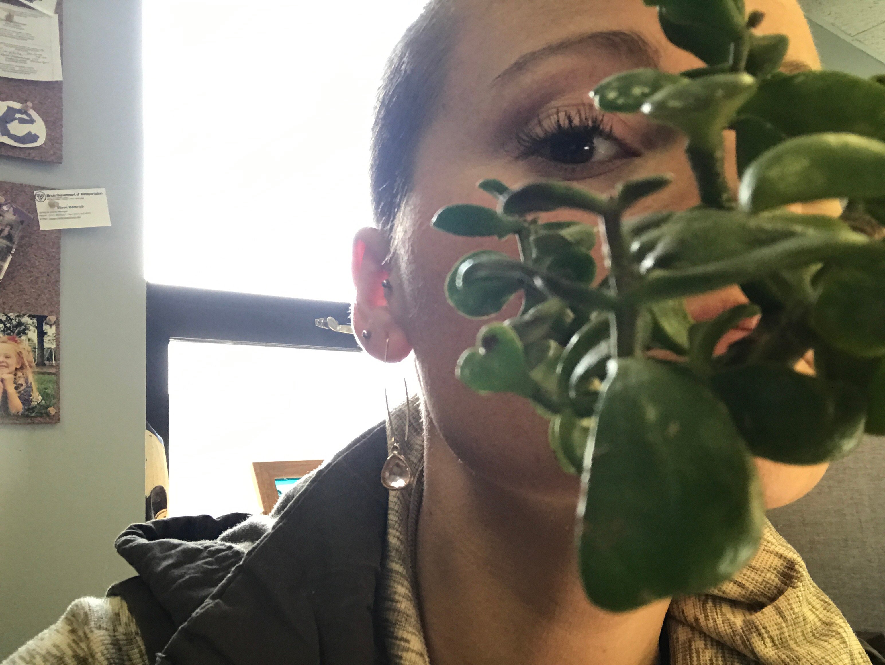 laceylou