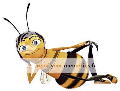 http://i1143.photobucket.com/albums/n627/thedogcody/bee.jpg