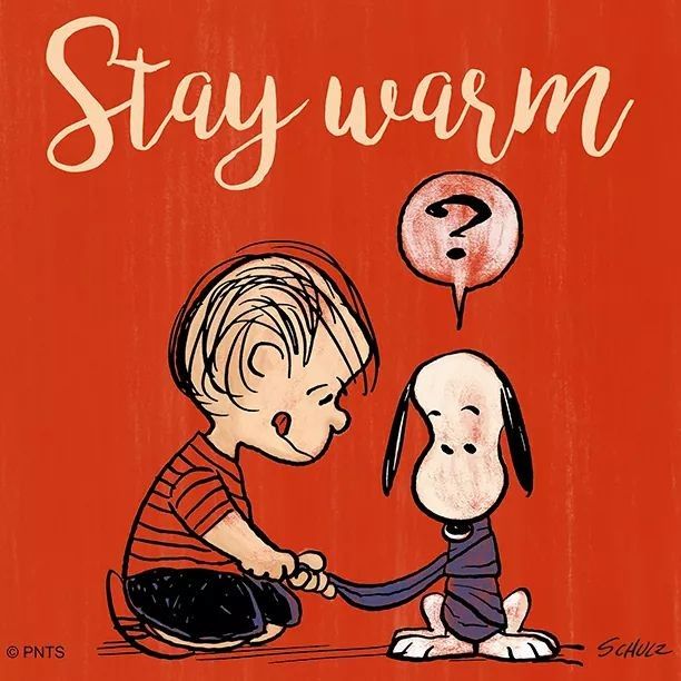 Linus and Snoopy Stay warm  Snoopy love Snoopy pictures