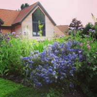 maplebarnstudio