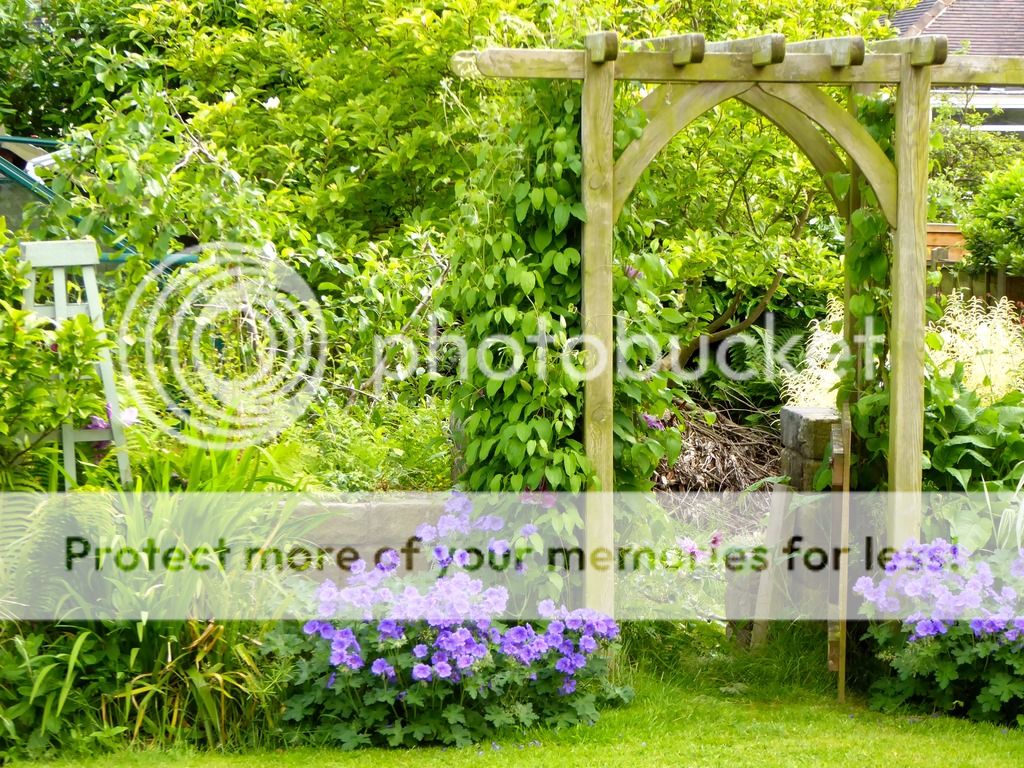 http://i232.photobucket.com/albums/ee192/thebear843/Garden/P1020014_zpsl0d4bsml.jpg