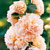 http://images.meredith.com/bhg/images/2008/10/50sq_SIP921271.jpg