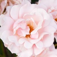 Catherine164