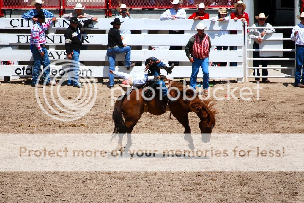 http://i1143.photobucket.com/albums/n627/thedogcody/bucking-bronco-7-1.jpg