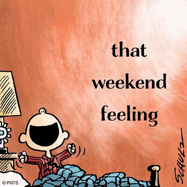 Snoopy And The Peanuts Gang on Instagram tfw it39s the weekend  Snoopy  quotes Funny good morning quotes Snoopy funny