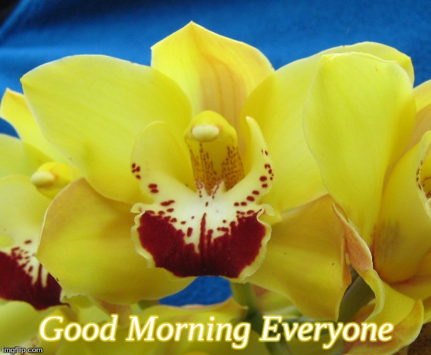 Image result for Good morning everyone images