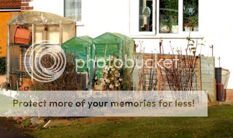 http://i1143.photobucket.com/albums/n627/thedogcody/typearticleLandscape.jpg