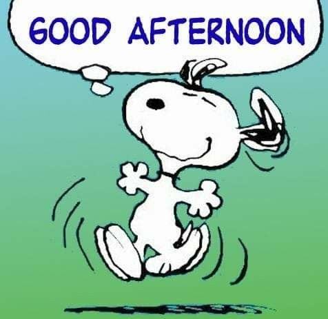 Pin by Debby Butler on Precious  Snoopy Peanuts snoopy Good afternoon