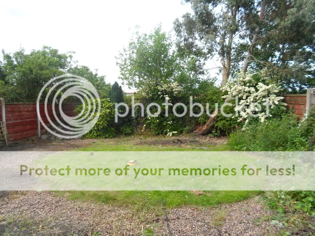 http://i1316.photobucket.com/albums/t612/toast_movg/4_zpsbab7c57f.jpg